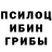 Галлюциногенные грибы Cubensis Irisk_ Shek