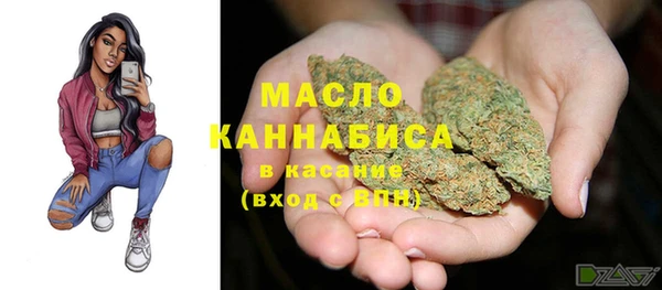 дмт Володарск