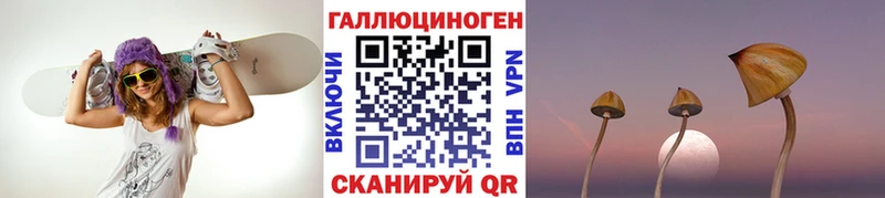 Псилоцибиновые грибы GOLDEN TEACHER  blacksprut онион  Козельск 
